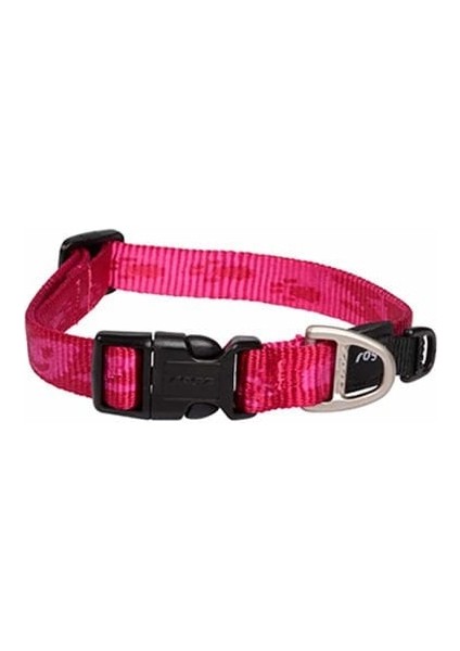 Alpinist Halsband Desenli Köpek Boyun Tasması Turuncu Xlarge 43X70 cm