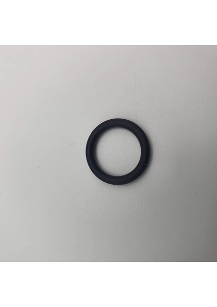 Oring Kalınlık 5 mm Iç Çap 47 mm Dış Çap 57 mm (5X47) 70 Shore (Lisinya) Alithestereo