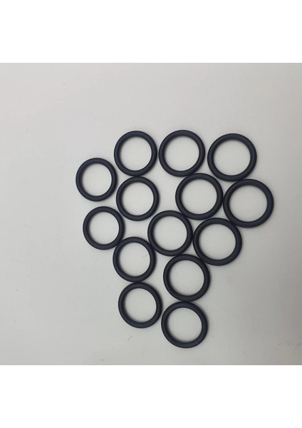 Oring Kalınlık 5 mm Iç Çap 47 mm Dış Çap 57 mm (5X47) 70 Shore (Lisinya) Alithestereo