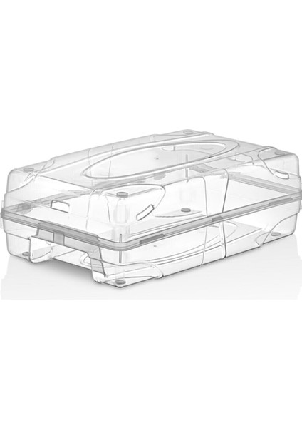 Tekno Trust Type 0 Fenomen 15 Li Ayakkabı Kutusu Plastik 1 Beyaz 29 x 15 Orta (26-50 Çap)