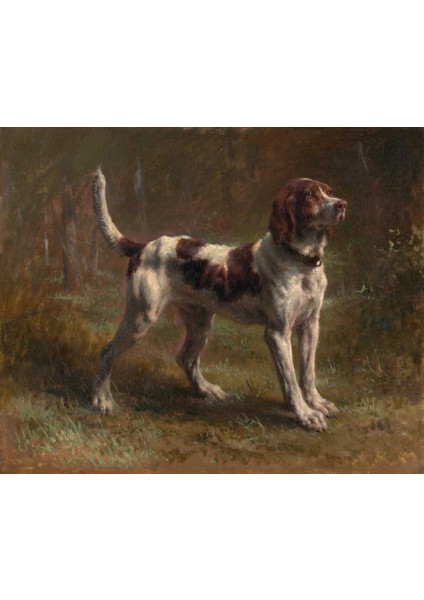 Yavru Tazı Köpeği Rosa Bonheur | Elmas Mozaik Tablo | Mozaik Puzzle | 50x40 | E2020994M