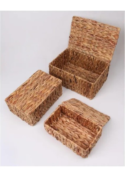 Tekno Trust 35 x 26 Hasır Kapaklı Organizer & Banyo Düzenleyici & Dolap Düzenleyici & Saklama Kutusu Banyo 1 Me fırsatları