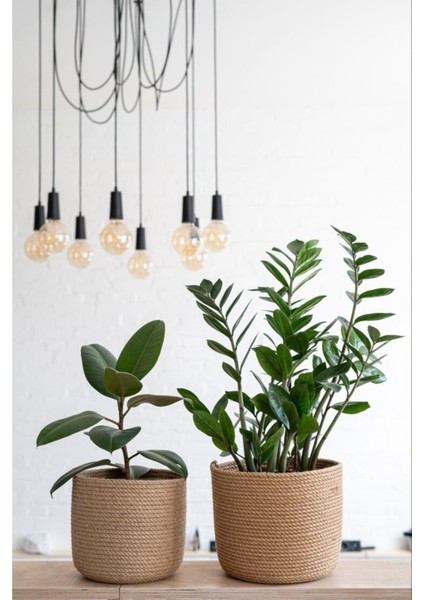 Tekno Trust Hasır Çok Amaçlı Dekoratif Organizer Hasır Sepet Saksılık Televizyon Battaniye Minder Sepeti 25X25