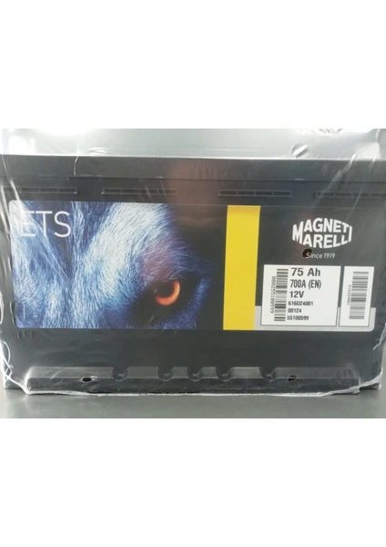 MAGNETTİ MARELLİ 12V 75AH Akü