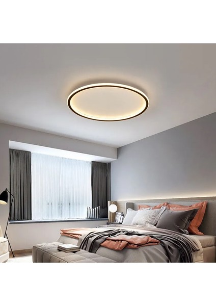 Antrasit Ø60CM Çember 3 Işık Rengi, Kumandalı LED Tavan Lambası, yuvarlak Avize, modern