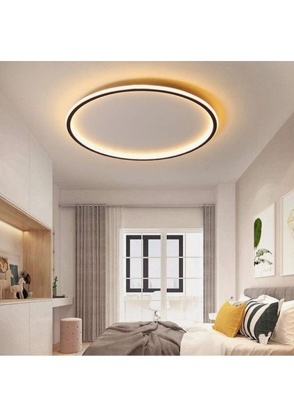 Antrasit Ø60CM Çember 3 Işık Rengi, Kumandalı LED Tavan Lambası, yuvarlak Avize, modern