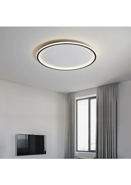 Antrasit Ø60CM Çember 3 Işık Rengi, Kumandalı LED Tavan Lambası, yuvarlak Avize, modern