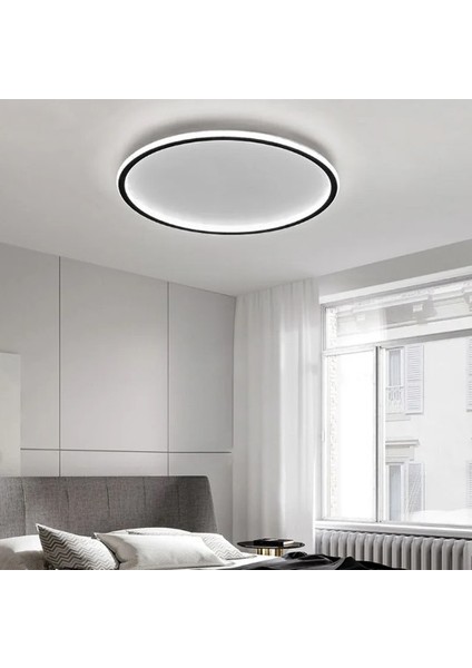 Antrasit Ø60CM Çember 3 Işık Rengi, Kumandalı LED Tavan Lambası, yuvarlak Avize, modern