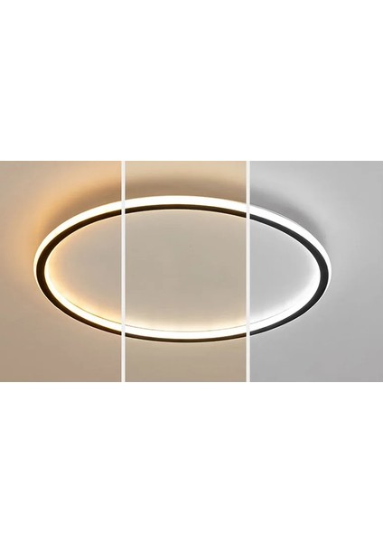 Antrasit Ø60CM Çember 3 Işık Rengi, Kumandalı LED Tavan Lambası, yuvarlak Avize, modern
