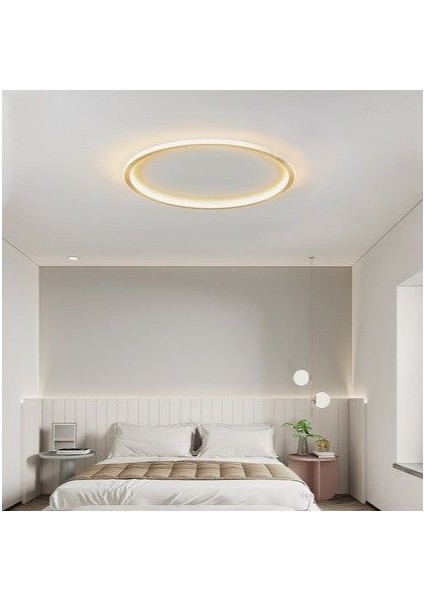 Zr Aydınlatma Gold Ø40CM Çember 3 Işık Rengi, Kumandalı LED Tavan Lambası,yuvarlak Avize,modern Aydınlatma,dekoratif Işık