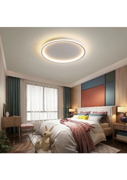 Beyaz Ø60CM Çember 3 Işık Rengi, Kumandalı LED Tavan Lambası, yuvarlak Avize, modern