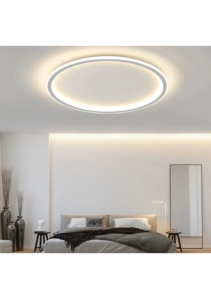 Beyaz Ø60CM Çember 3 Işık Rengi, Kumandalı LED Tavan Lambası, yuvarlak Avize, modern