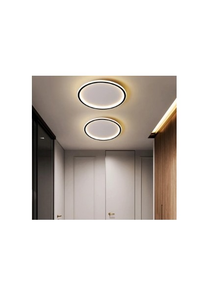 Siyah Ø30CM Çember 3 Işık Rengi, Kumandalı LED Tavan Lambası, yuvarlak Avize, modern