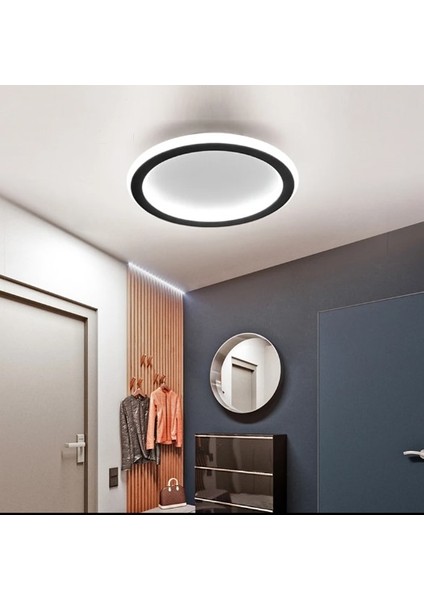 Siyah Ø30CM Çember 3 Işık Rengi, Kumandalı LED Tavan Lambası, yuvarlak Avize, modern
