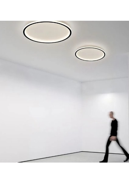 Siyah Ø30CM Çember 3 Işık Rengi, Kumandalı LED Tavan Lambası, yuvarlak Avize, modern