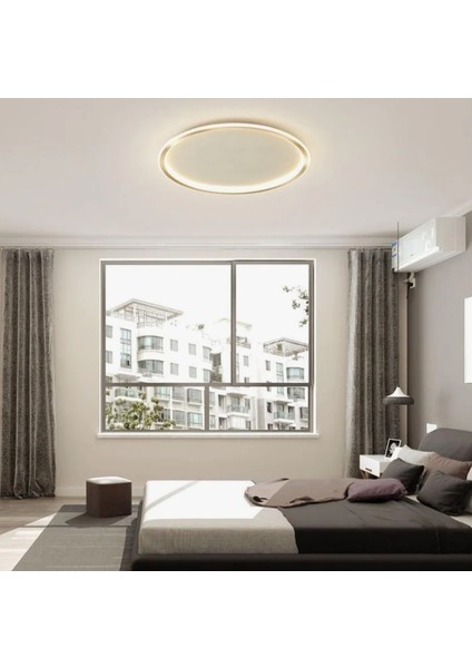 Gold Ø60CM Çember 3 Işık Rengi, Kumandalı LED Tavan Lambası,yuvarlak Avize,modern Aydınlatma,dekoratif Işık