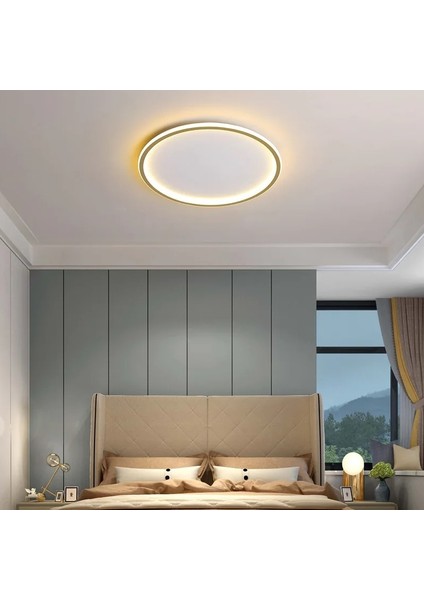 Gold Ø60CM Çember 3 Işık Rengi, Kumandalı LED Tavan Lambası,yuvarlak Avize,modern Aydınlatma,dekoratif Işık