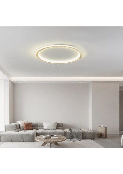 Gold Ø60CM Çember 3 Işık Rengi, Kumandalı LED Tavan Lambası,yuvarlak Avize,modern Aydınlatma,dekoratif Işık