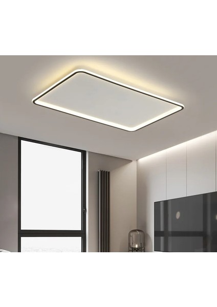 Beyaz 60X40CM Dikdörtgen 3 Işık Rengi, kumandalı LED Tavan Lambası, avize, modern Aydınlatma, Dekoratif Işık