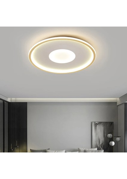 Beyaz Ø80CM Yuvarlak 3 Işık Rengi, kumandalı LED Tavan Lambası, avize, modern Aydınlatma, Dekoratif Işık