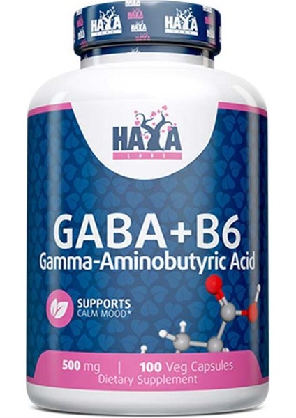 Gaba - B6 500 Mg 100 Vcaps