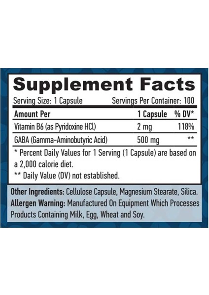 Gaba - B6 500 Mg 100 Vcaps