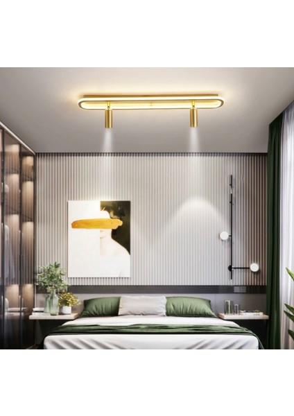 Beyaz Spotlu Oval 60X16CM 4000k Işık Rengi, Kuamndalı LED Tavan Lambası,oval Avize,modern Aydınlatma,dekoratif Işık fiyatları