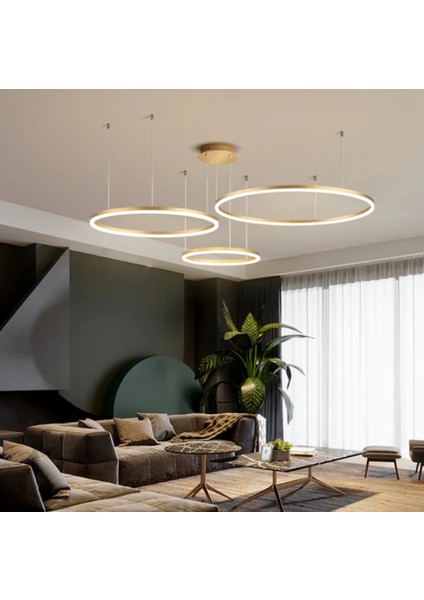 Gold Çember Ø40,60,80CM, 3 Işık, Kumandalı, LED Lamba,yuvarlak Sarkıt Avize,modern Aydınlatma,dekoratif Işık