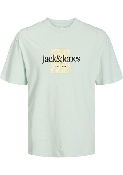 Jorlafayette Brandıng Tee Ss Crew Nec Ln