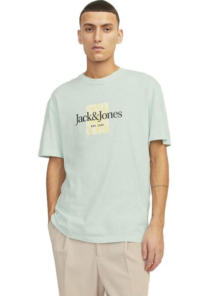 Jorlafayette Brandıng Tee Ss Crew Nec Ln fiyatları