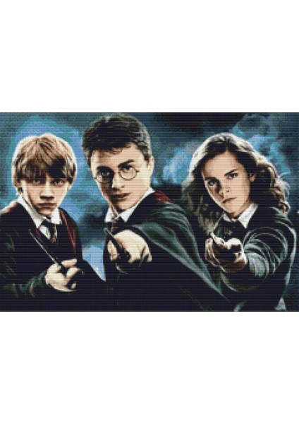 Harry Poter Oyuncuları | Elmas Mozaik Tablo | Mozaik Puzzle | 60x40 | E20202664M