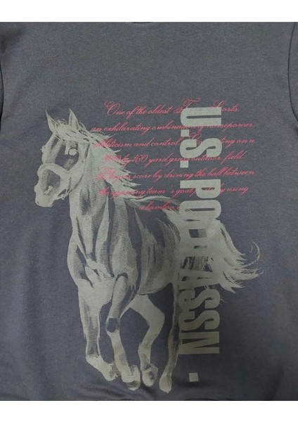 Erkek Antrasit Bisiklet Yaka Baskılı Sweatshirt fiyatları
