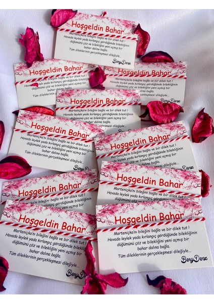 Tekno Trust Düz 10 Adet Marteniçka Kartlı Paketli Geçirmeli Bileklik