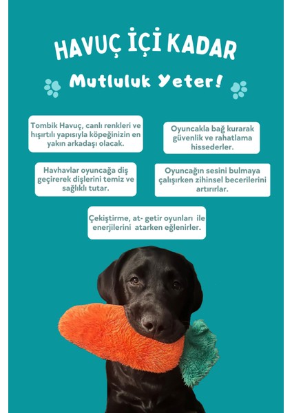 Turuncu Tombik Havuç Ses Çıkaran Peluş Köpek Oyuncağı Çekiştirme Isırma Köpek Oyuncakları