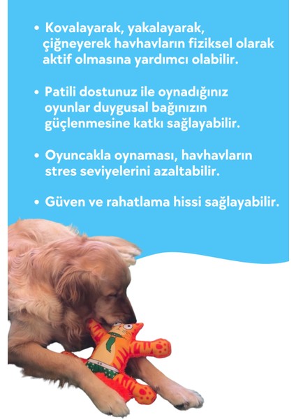 Turuncu Mihav Sesli Köpek Oyuncağı Turuncu Renkli Kedi Şekilli Köpek Diş Kaşıma Oyuncağı