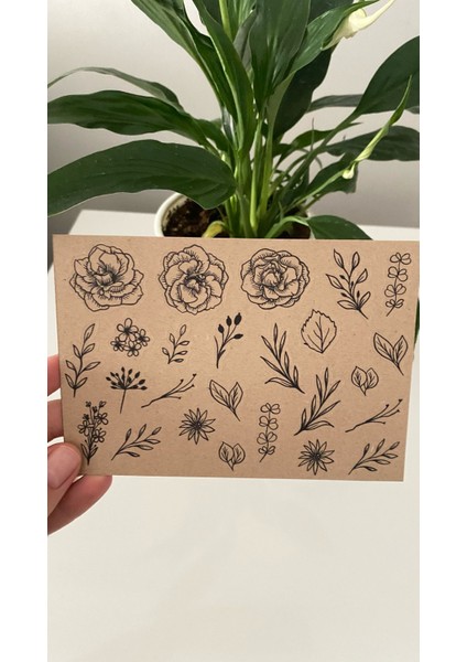 4'lü Kraft Sticker Set- Kraft Kaktüs Set
