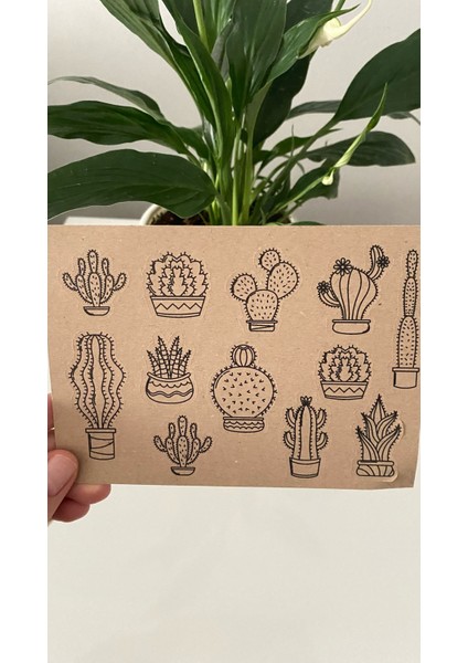 4'lü Kraft Sticker Set- Kraft Kaktüs Set fiyatları