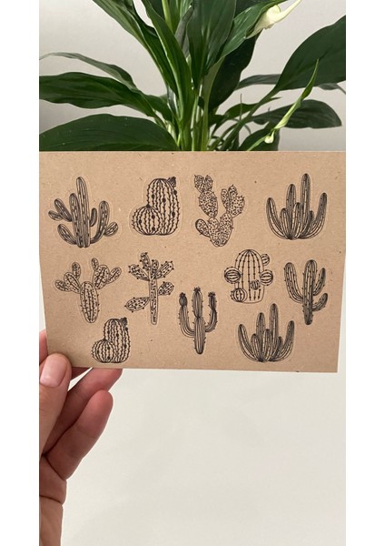 4'lü Kraft Sticker Set- Kraft Kaktüs Set modelleri