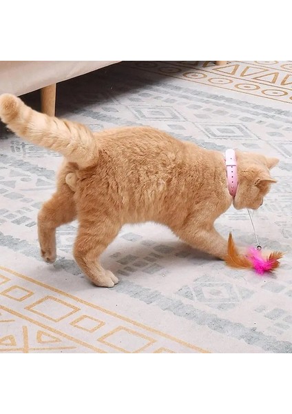 Kedi Tasmalı Tüylü Oyuncak fırsatları