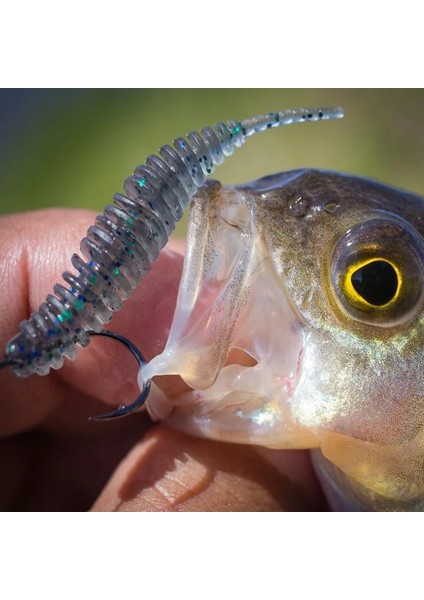 K Tarzı 65MM10 Adet Bearkıng Tanta G Balıkçılık Cazibesi Yumuşak Cazibesi Shad Silikon Yemler Wobblers Swimbait Yapay Leurre Esnek (Yurt Dışından) fırsatları
