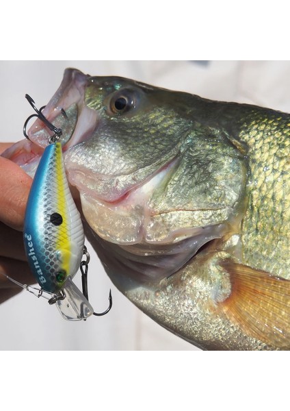 Kaki Shad Stili Banshee G Blitz Krank Yüzen Balıkçılık Cazibesi VC03 Çıngırak Ses Wobbler Kare Bill Yapay Orta Dalış Crankbaits (Yurt Dışından) fiyatları