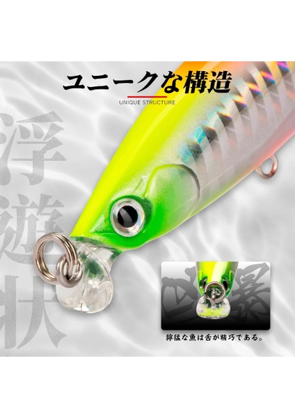 No.3 Tarzı 98 mm Hunthouse Iborn Minnow Balıkçılık Cazibesi Sığ Tuzlu Su Minnow Yemi Uzun Döküm Wobbling Haddeleme Balıkçılık Levrek (Yurt Dışından)