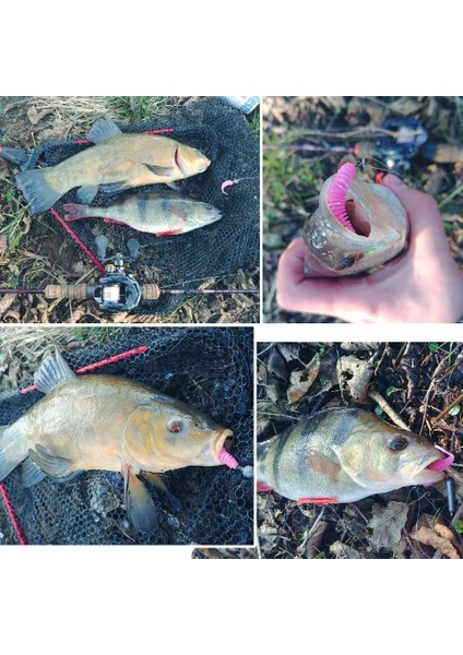 Renka Stili Karides Kokusu Balıkçılık Yumuşak Alabalık Cazibesi Silikon Yem Wobbler Swimbait Pesca Alabalık Için Yapay Solucan Yemleri G (Yurt Dışından) indirimleri
