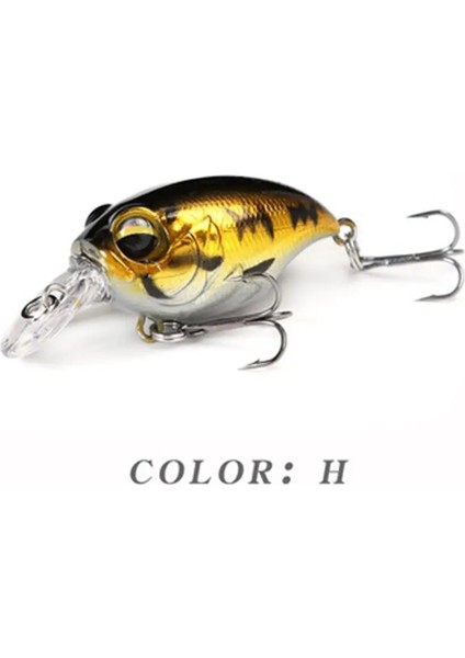 H3 -42MM 8g Stili G Olta Takımı Ağustosböceği Yemi Balıkçılık Cazibesi Böcek Böcek Cazibesi Deniz Böceği Krank Bas Sazan Olta Takımı Için Yüzer Wobbler (Yurt Dışından)