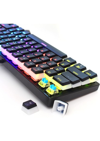 Blue Switch Mekanik Oyuncu Klavye - 61Key Full RGB Pudding Keycap Mavi Tuş HXSJ L700