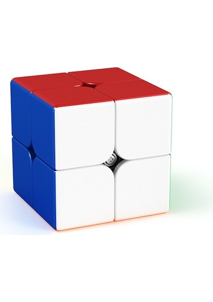 A-2X2X2 Mini Eğitici Oyuncaklar Cep Küp Hız 2x2 Sihirli Küp Meslek Küp Oyuncak Çocuklar Için Rubix Küp (Yurt Dışından)