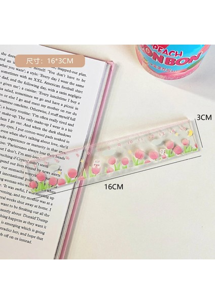 C Tarzı 15 cm Ayı Tavşan Cetvel Çok Fonksiyonlu Diy Çizim Araçları Öğrenci Karikatür Cetveller Çift Görevli Okul Ofis Malzemeleri Okul Malzemeleri (Yurt Dışından)
