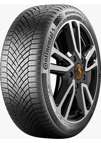 195/55 R16 87H Allseasoncontact 2 Oto Dört Mevsim (Üretim Yılı: 2024)
