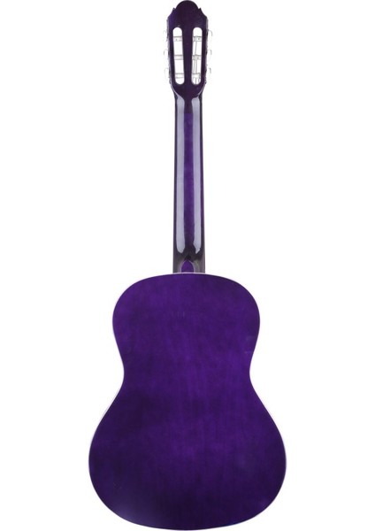 Müzik Reyonu Almira MG917-PRP 4/4 Klasik Gitar fiyatları