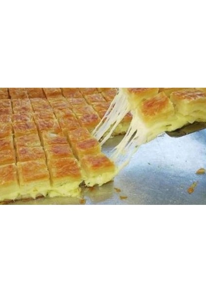 Uğur Usta Tereyağlı Nefis Su Böreği Kaşar Peynirli 500 gr fiyatları